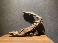 爬虫類/テラリウム用 流木アート素材