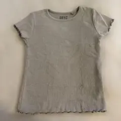 NEXT リブ 半袖Tシャツ モカ