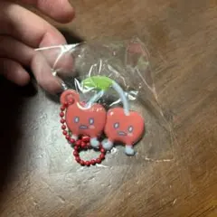 さん帆@SJ♡KRY♡ 様専用