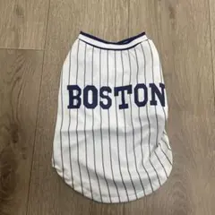 ボストン ストライプ犬服 Mサイズ