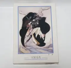 廃盤 未開封　天野喜孝　500ピース ジグソーパズル 「肖像」 廃盤 未開封 天野喜孝 500ピース ジグソーパズル 「肖像」 廃盤
