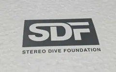 STEREO DIVE FOUNDATION ステッカー