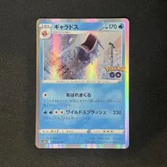2026年最新】ギャラドス ポケモンgoの人気アイテム - メルカリ