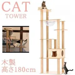 Item thumbnail for item a108a83e-d916-4fe1-af90-4d02bf455f80