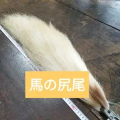 Item thumbnail for item 8bafdb4b-097f-4d5b-9839-82e56109a700