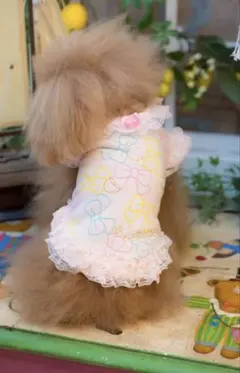 ルーア様 リクエスト 2点 まとめ商品