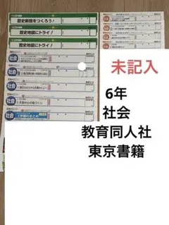 カラーテスト6年生国語　未記入　R7年度版 小学6年 算数 カラーテスト 新学社 啓林館 未記入 1学期のみ 令和7年度