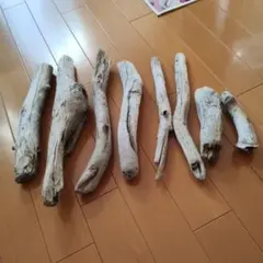 Item thumbnail for item 89ffb4a1-7258-4577-bc7d-ad57209213ba