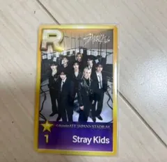 スキズ シュスジェ ssjyp リアルカード トレカ