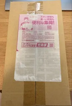 【未開封】ポケモンカードゲーム スペシャルBOX ポケモンセンターヒロシマ