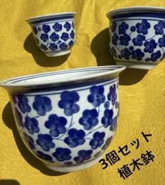 青い花模様の陶器製植木鉢3個セット