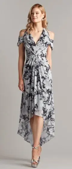 TADASHI SHOJI　ロングフォーマルドレス　「１２ 」/ ２XLのサムネイル