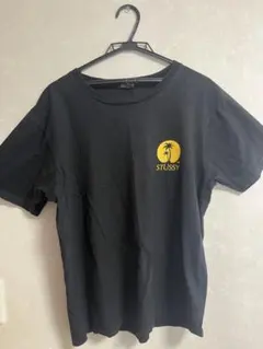 STÜSSY 黒 Mサイズ Tシャツ【最終値下げ】