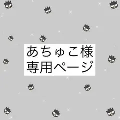 あちゅこ様 専用ページ