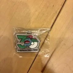 ポケモン30周年記念 メタルチャーム