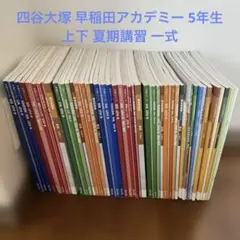 ❗️週末セール❗️四谷大塚 早稲田アカデミー 5年生 上下 夏期講習 1式