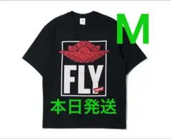 Air Jordan FLY Tシャツ Mサイズ 新品未使用