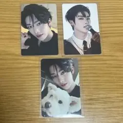 zb1 ゼベワン リッキー タワレコ ラキドロ デジパック 封入 トレカ