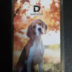 Item thumbnail for item f2c171f2-4f81-4aa5-82b9-f76371a066d1