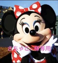 さちゃこ⭐︎様専用