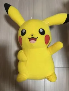 ポケットモンスター でっかいぬいぐるみ ～ピカチュウ・カイリュウ～
