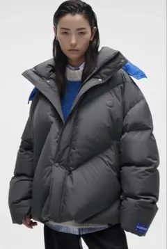 Ader Error x Zara ダウンジャケット　グレー