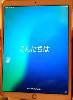 iPad　Air3 第3世代　10.5インチ　256GB ゴールド