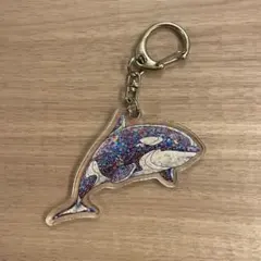 名古屋港水族館　シャチ
