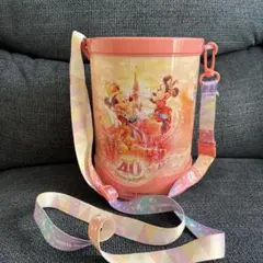 ディズニー　40周年　ポップコーンバケット