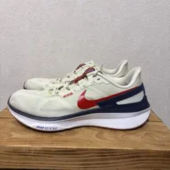 NIKE ZOOM STRUCTURE 25 メンズ28.0cm