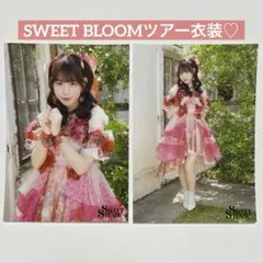 SWEET STEADY 白石まゆみ SWEET BLOOMツアー衣装 生写真