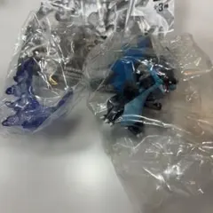 ポケモンカプセルアクト　蒼き波動　メガリザードンX
