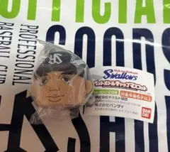 ヤクルトスワローズ スポーツ選手