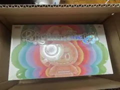 Big into Energy ぬいぐるみ　1アソートボックス ラブブ 正規品