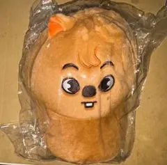 straykids 六期 粉絲見面會 韓國 鴨舌帽 帽子 鉉辰