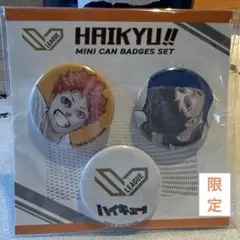 限定『ハイキュー！！』mini缶バッジ　3個セット　〈SVリーグ〉
