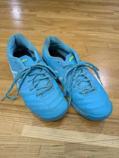 アシックス asics DS LIGHT JR GS TF 22.5cm