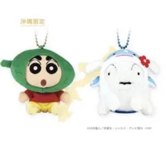 【沖縄限定】ゴーヤしんちゃん ジンベエザメシロ マスコットキーホルダー