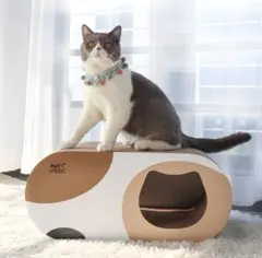 Item thumbnail for item 12a5f29d-b535-44df-a461-1327c3157951