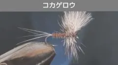 Item thumbnail for item 580bef65-fb04-4c5f-929d-0edaf94e94dd