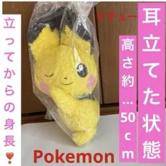 [美品]ポケットモンスターぬいぐるみピチュー