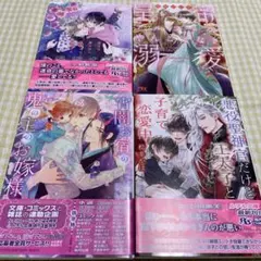 BL小説 4冊 まとめ売り