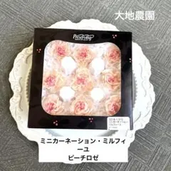 済　sachiko424610様 ご専用