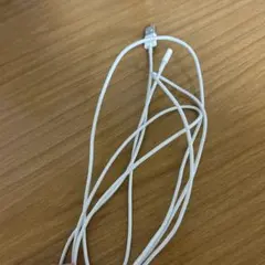 Apple純正 Lightningケーブル ホワイト USB-A ジャンク