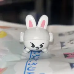 Stray Kids SKZOO びっくらたまご ふろふちころりん リービット