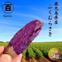 鹿児島産 紫芋 ふくむらさき 5kg 訳あり さつま芋 紫イモ 148