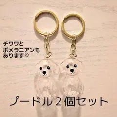 【２個】犬の毛 キーホルダー プードル 犬 メモリアル 毛玉1311