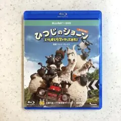 Item thumbnail for item 4ce10dc6-b666-471d-ab8b-c80758bcc1a4