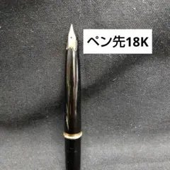 2026年最新】pilot 万年筆 ペン先18kの人気アイテム - メルカリ