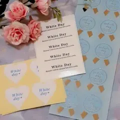 Item thumbnail for item d721cd64-f1e9-49ba-a3b1-08dd4624683d